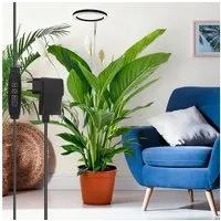 Laybasic Pflanzenlampe Vollspektrum 160LED Pflanzenlicht, Wachstumslampe für Pflanzen Indoor, 35-155cm Höhe verstellbar