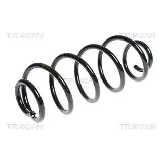Triscan Feder hinten Peugeot 207 1,6 875028159