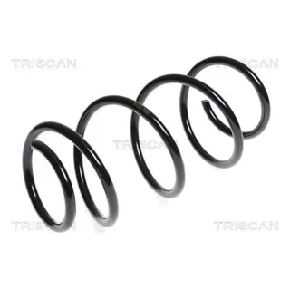 Triscan Feder vorne Fiat 500 875015156