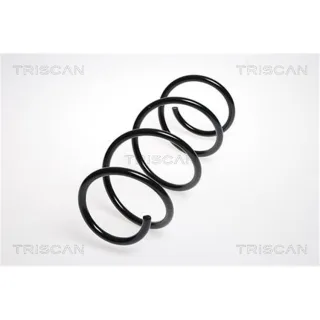 Triscan Feder vorne Nissan Micra K12