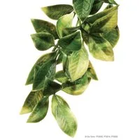 Exo Terra Terrariendeko Terrarien-Pflanze Amapallo