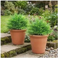 Kunstpflanze Fake Plant Kunstbaum Boston-Farn, HOMCOM, Höhe 60 cm, UV-beständig, 2er Set, Outdoor geeignet