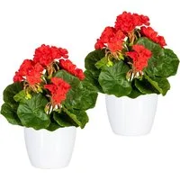 Kunstpflanze Havel Geranie, OTTO home, Höhe 24 cm, im Topf, 2er Set