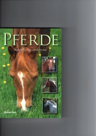 Pferde