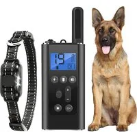 FELIXLEO Hundehalsbandleuchte Robustes und Langlebiges Hundehalsband für Hunde