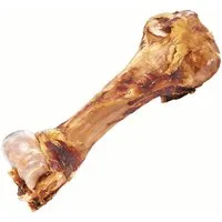 Schecker Schecker Kauknochen Dino-Knochen 30-50 cm - Rinderknochen, für: Hunde