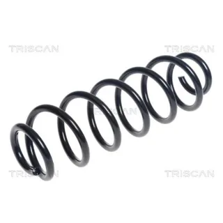 Triscan Feder hinten Audi Q3