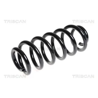 Triscan Feder vorne Audi A6 C6 875029226