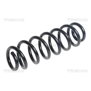 Triscan Feder hinten Audi A3 8V 875029491