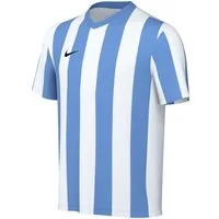 Nike Fußballtrikot Nike Performance Division V Striped Trikot Kids Teamsport