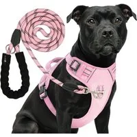 Reichstadt Hunde-Geschirr RS Pets Hundegeschirr & Leinen Set 25RSP083-4, Polyester, atmungsaktives Netzgewebe und robuster Oxford-Stoff
