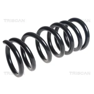 Triscan Feder hinten Mitsubishi Pajero 4