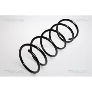 Triscan Feder vorne Peugeot 206 306