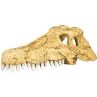 ReptiZoo Terrariendeko ReptiZoo Krokodilschädel (Crocodile Skull Hide Cave) (ERS34)