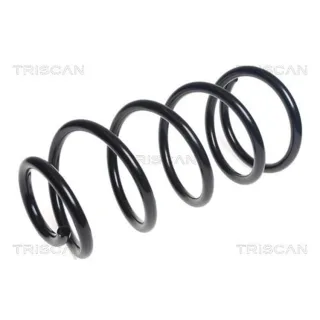 Triscan Feder Vorne Ford Tourneo Transit 2,2 875016120