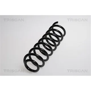 Triscan Feder hinten Renault Megane 2 87502560