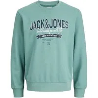 Jack & Jones Junior Sweatshirt JJELOGO SWEAT CREW NECK 2 COL SS26 JNR