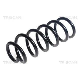 Triscan Feder vorne Audi Q5 2,0