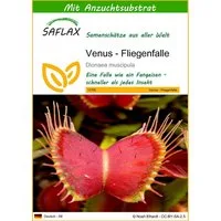 SAFLAX Blumensamen SAFLAX - Samen und Substrat - Venus - Fliegenfalle