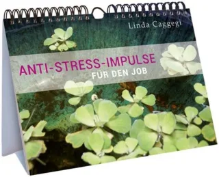 Anti-Stress-Impulse für den Job