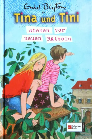 Tina und Tini Band 02: Tina und Tini stehen vor neuen Rätseln
