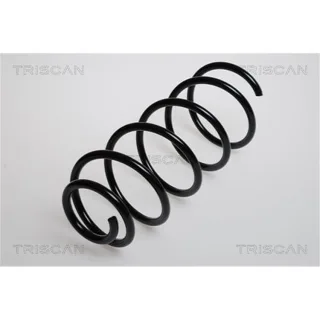 Triscan Feder vorne Audi A3 VW Golf
