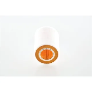 Bosch Luftfilter Smart Roadster