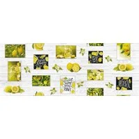 texpot Tischdecke Wachstuch Zitrone Früchte abwischbar (1-tlg)
