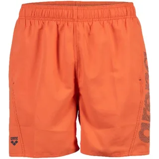 Arena - Boardshorts für Herren (Asphaltgrau)