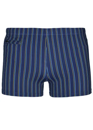 BASEFIELD - He.-Badepants blue stripes - Gr. - 8