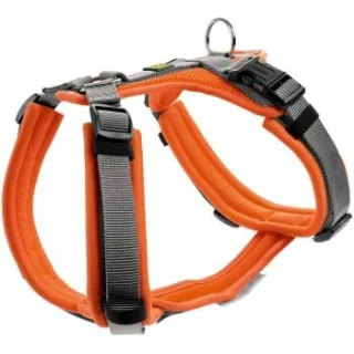 Hunter Geschirr Maldon Up orange XS-S