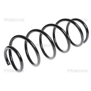 Triscan Feder vorne Mazda 2 DE