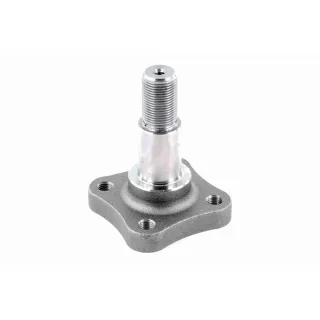 Vaico Radnabe hinten Dacia Nissan Renault V21-0011