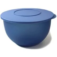 TUPPERWARE Schüssel Junge Welle 4,3 L blau