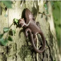 Antikas Wanddekoobjekt Hübsche Eidechse, Gecko als Dokoration, Salamander aus Gusseisen