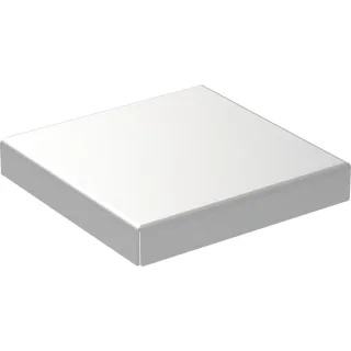 Geberit Ersatzteile Abdeckung für Bodenablauf 10 x 10 cm, 242408001 242408001