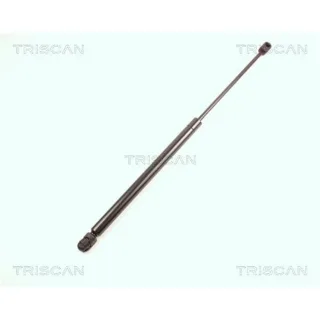 Triscan Gasfeder F?r Heckklappe Mini R50 R53