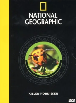 National Geographic - Killer-Hornissen [DVD] [2003]