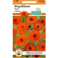 SAMEN PFANN Blumensamen Ringelblume, Neon - Ringelblume-Samen Saatgut Samen, Calendula officinalis