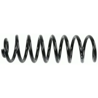 Sachs Feder hinten Renault Sc?nic