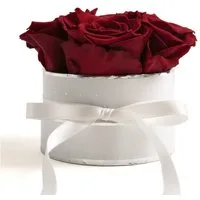 Kunstblume Rosenbox weiß rund 4 Infinity Rosen inklusiv Geschenkbox Rose, ROSEMARIE SCHULZ Heidelberg, Höhe 10 cm, echte Rosen haltbar 3 Jahre, Made in Germany