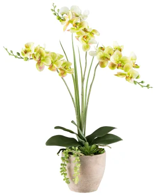 Kunstpflanze Phalaenopsis