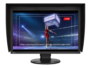 EIZO ColorEdge CG2400SV | cg2400sv | LED-Monitor - 61.2 cm (24.1")