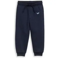 TOM TAILOR Sweathose Hosen & Chino Jogginghose mit Dino-Stickerei
