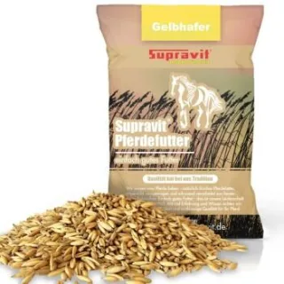 Supravit Hafer ganz - Frischer gelber Futterhafer natürlich & ungeschält für Pferd und Pony | staubfrei & riecht gut I Hafer Energie & Kraftfutter Pferd 20 kg