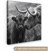 OneMillionCanvasses® Leinwandbild Schottischer Highlander - Kalb - Schwarz - Weiß, Fotodruck (1 St), Wandbild, Deko Schlafzimmer Wohnzimmer Flur 20x20 cm