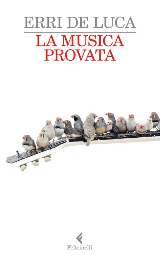 La musica provata (I narratori)