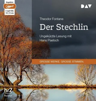 Der Stechlin: Ungekürzte Lesung (2 mp3-CDs)