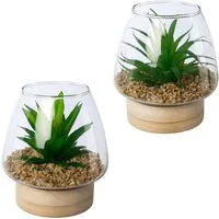 Kunstpflanze Sukkulenten im Glasgefäß, Creativ green, Höhe 14 cm, mit 2 verschiedenen Sukkulenten