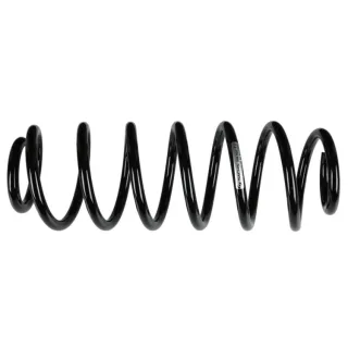 Sachs Feder hinten Ford Fiesta 6 994893
